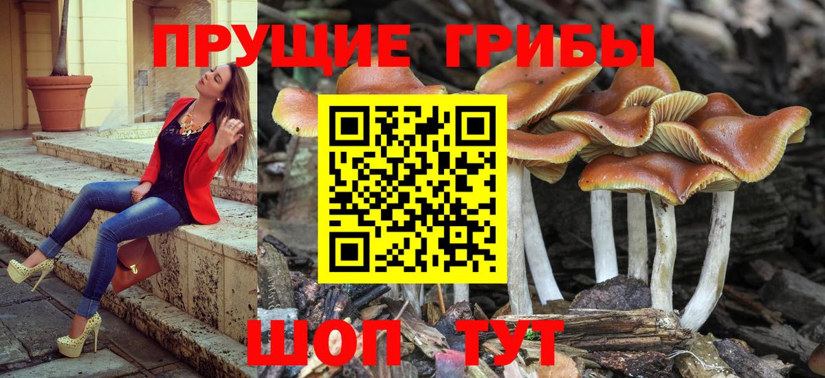 Псилоцибиновые грибы мицелий Строитель